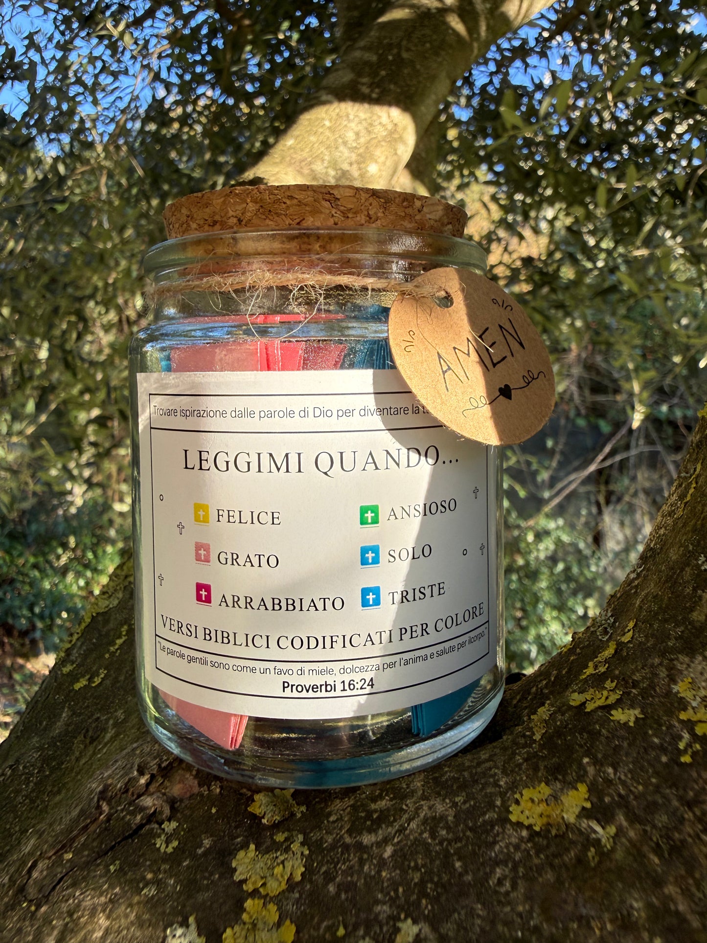 Il Vasetto della Fede